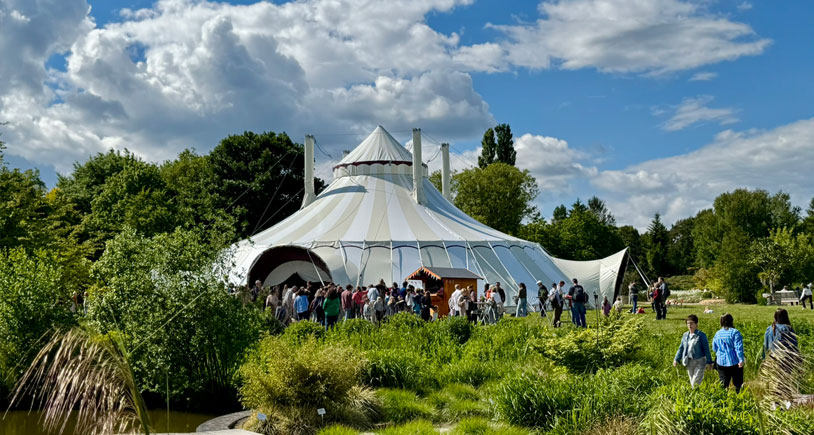 Sommer-Festival im Loki-Schmidt-Garten: Dialoglabor von „Natürlich Hamburg!“ zum Thema „Wildstauden“