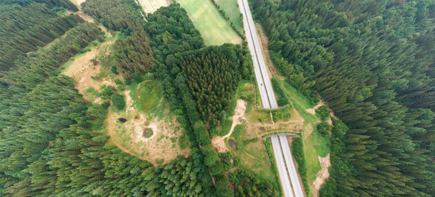 Grüne Brücken über Straßen: So verbindet der Biotopverbund Hamburger Stadtteile