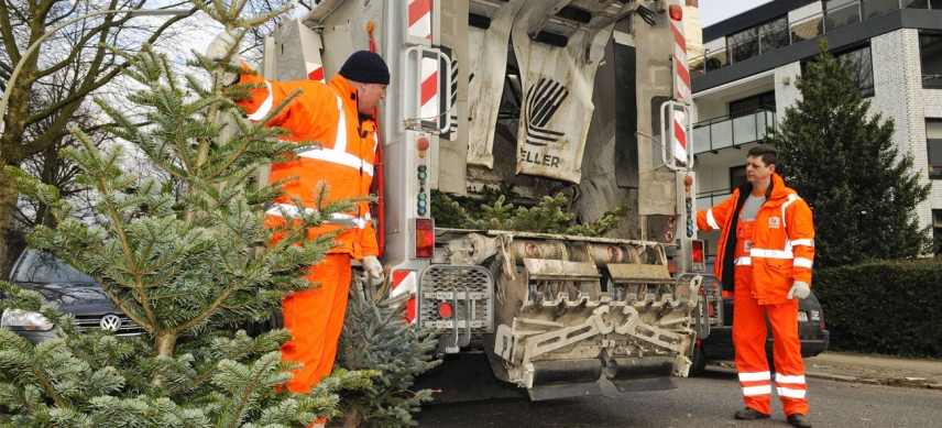 Mitarbeiter der Stadtreinigung beim Einsammeln der Weihnachtsbäume